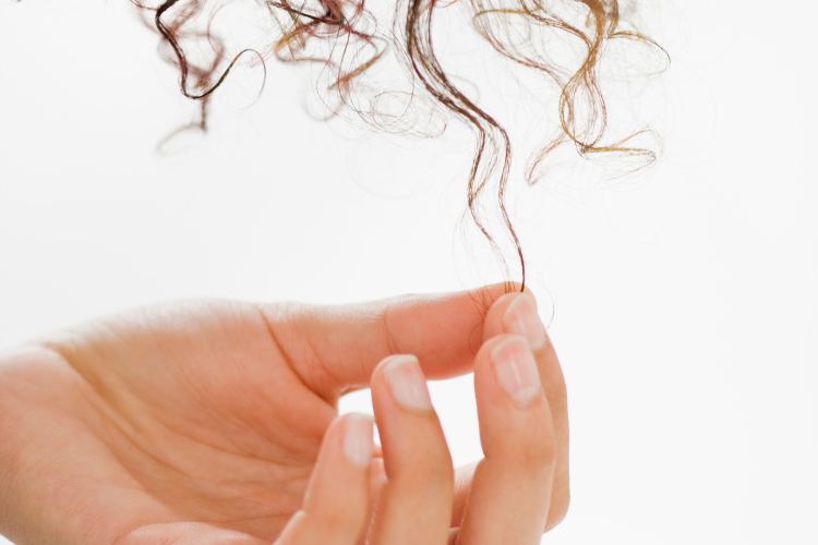 what is hair elasticity